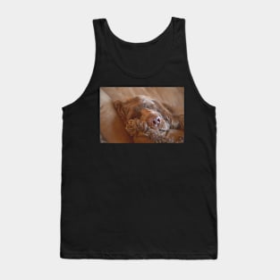 Sleepy Sussex Spaniel Tank Top